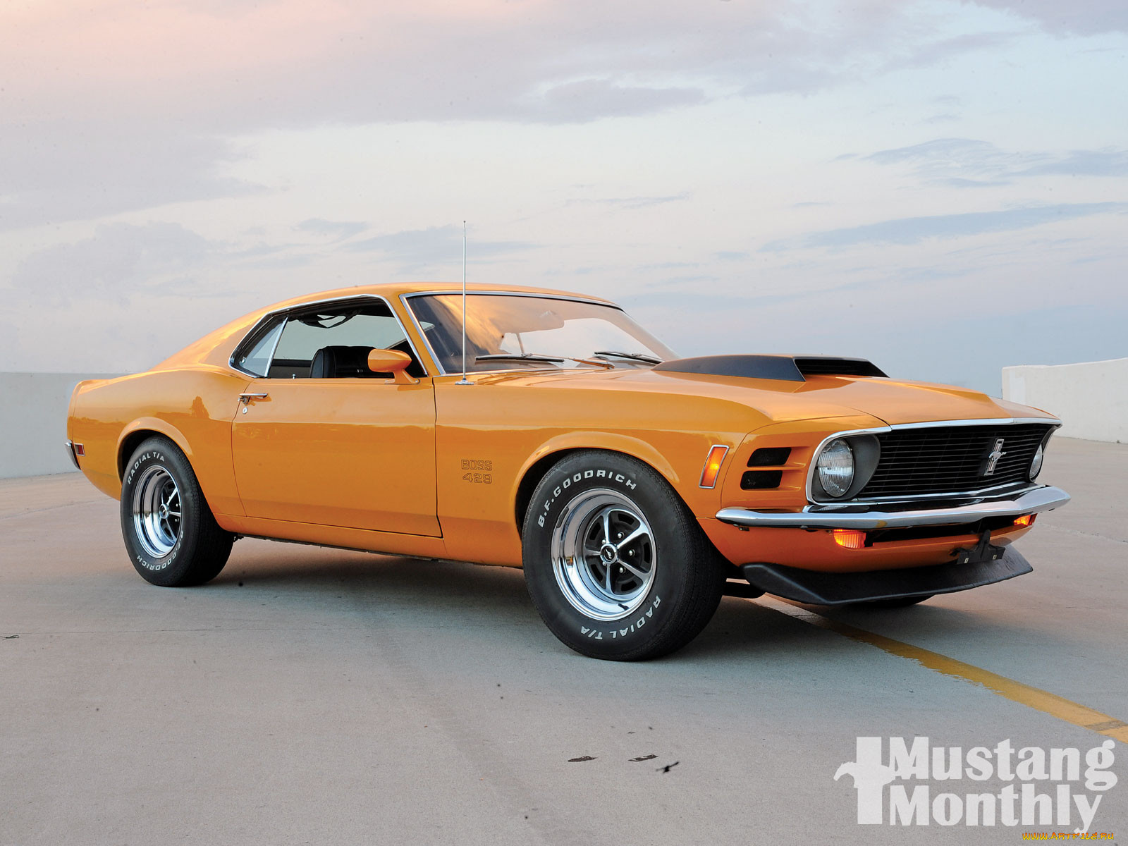 , mustang
